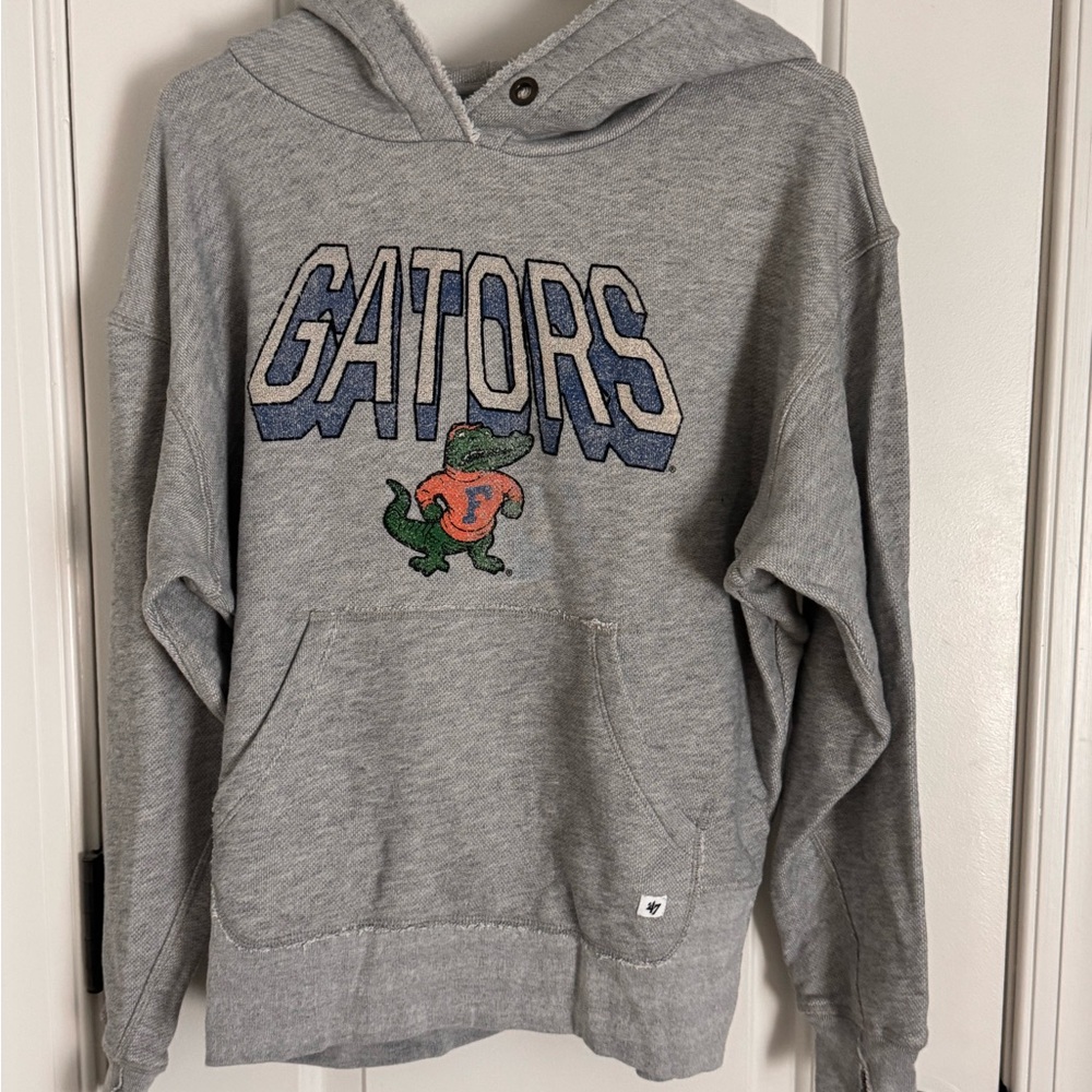 Gray Gators Hoodie
